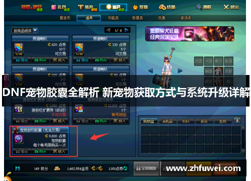 DNF宠物胶囊全解析 新宠物获取方式与系统升级详解